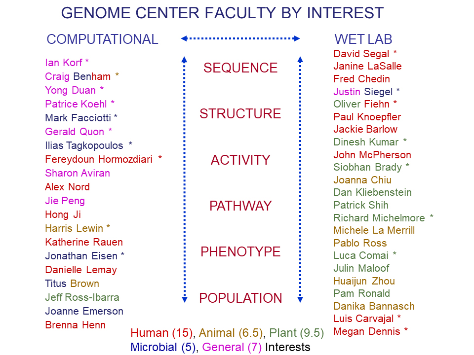 Faculty Research
