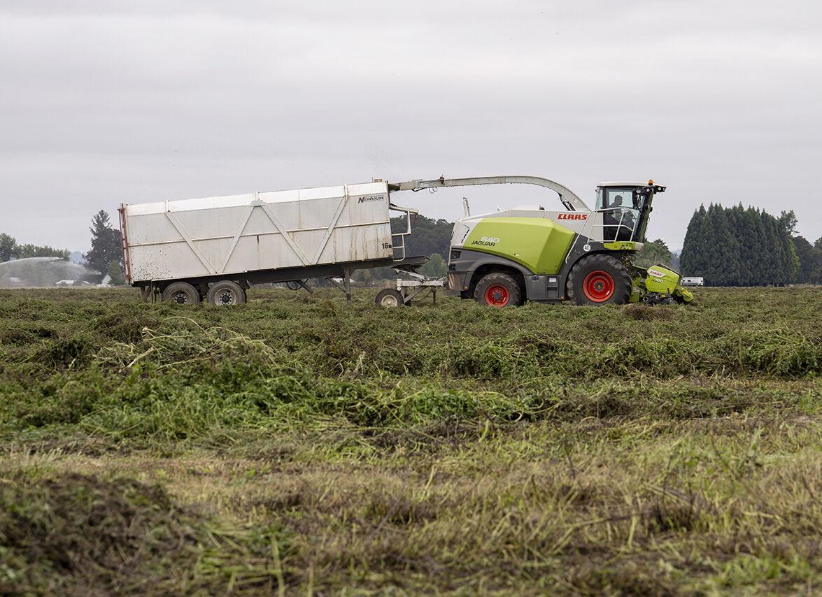 A forage harvester.