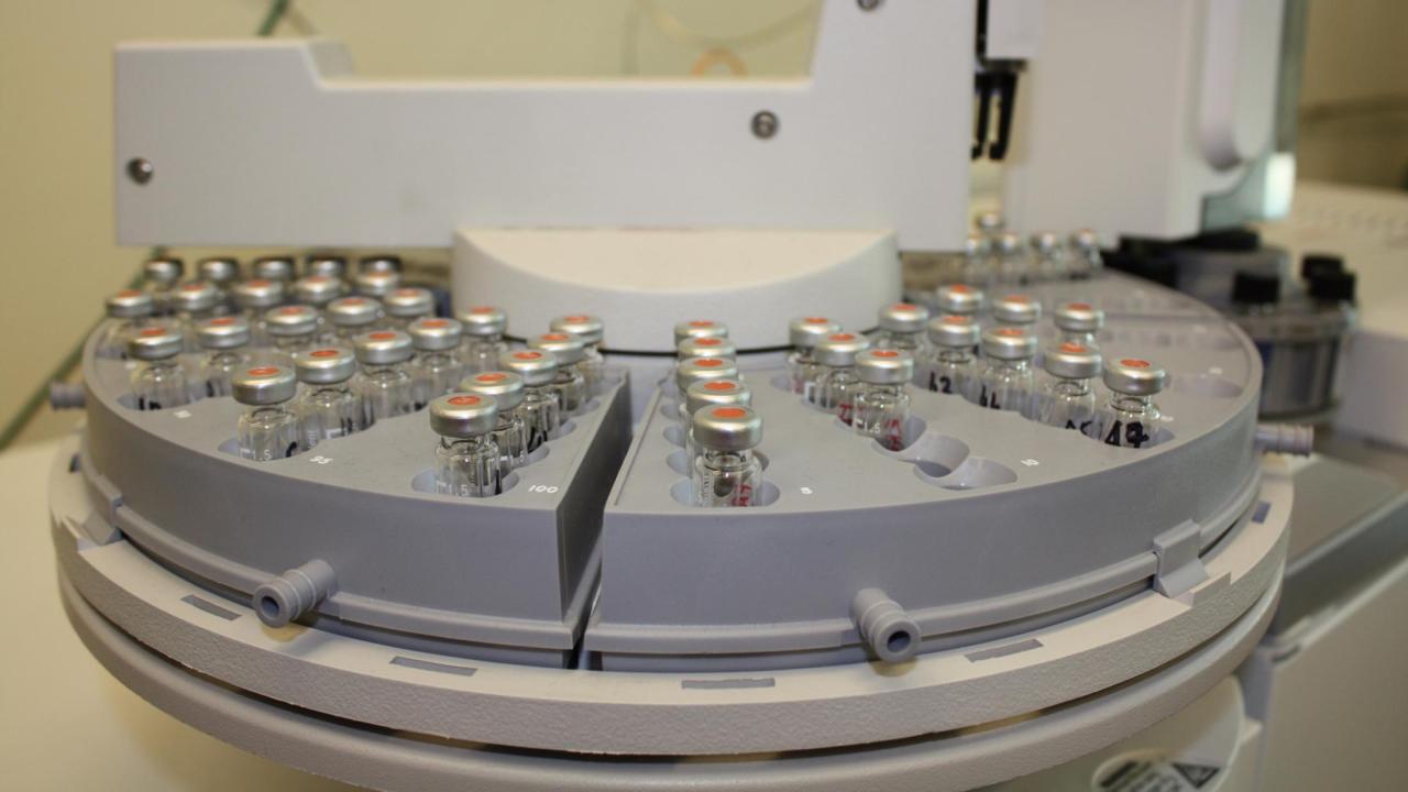 metabolomics