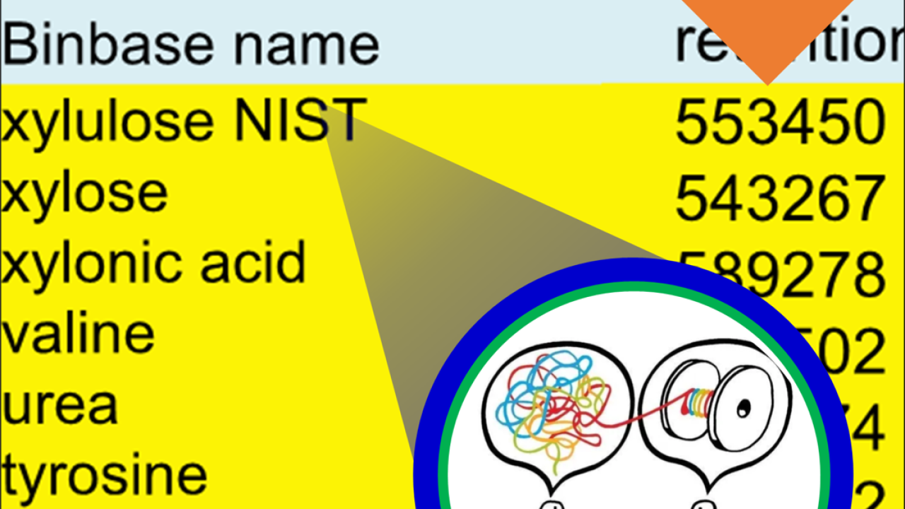 Image for course