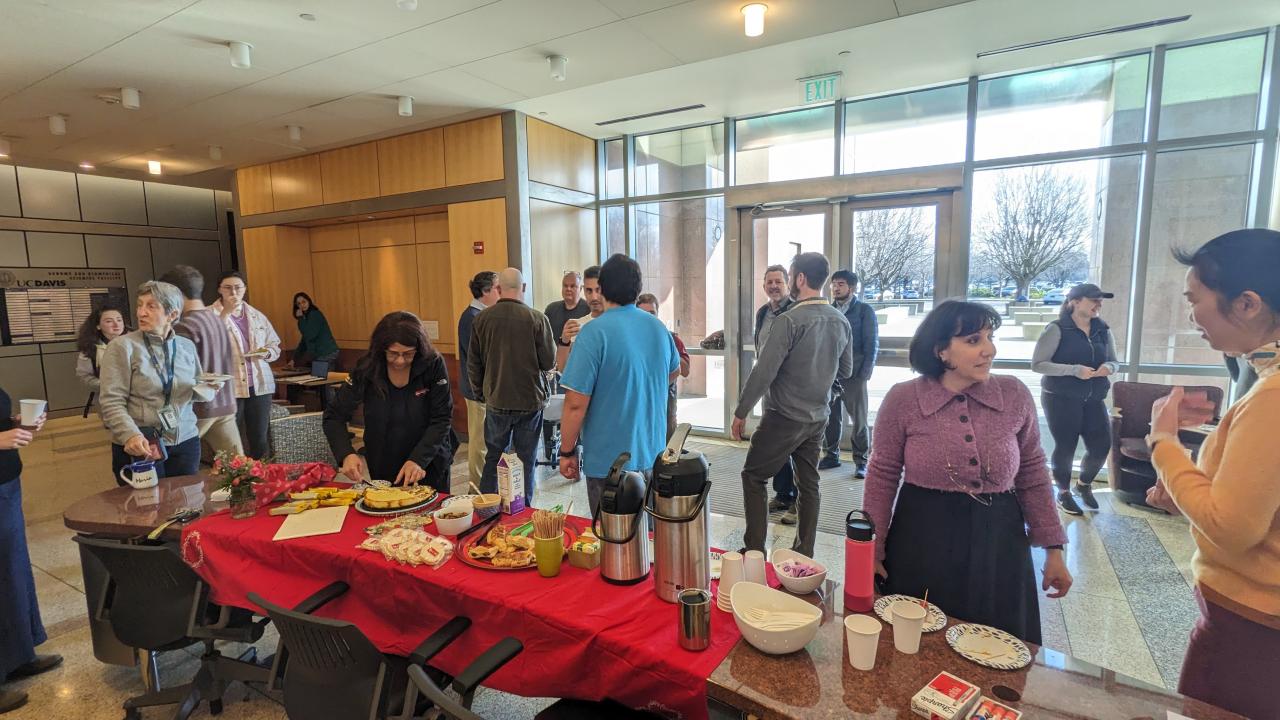A group of people networking.
