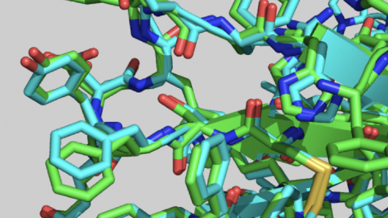 A protein structure models obtained by DeepMind’s AlphaFold program.