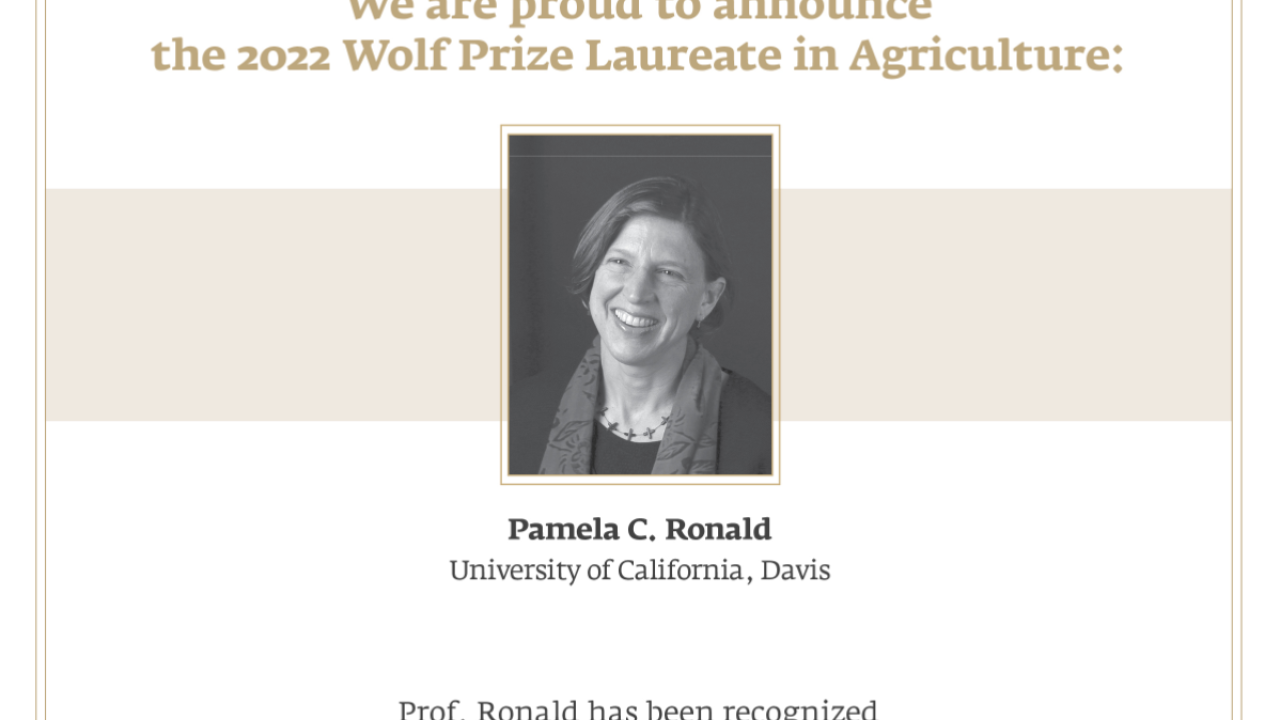 Pamela Ronald named Wolf Prize Laureate in Agriculture