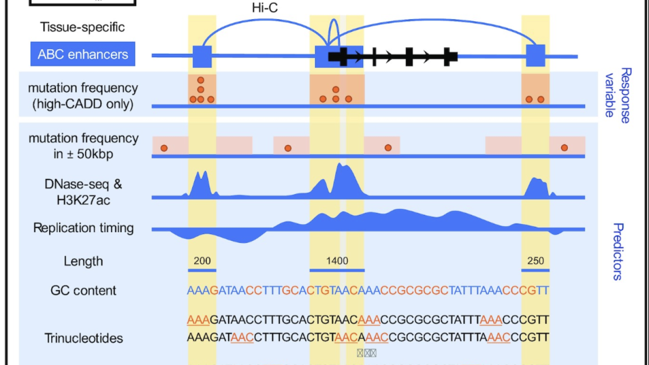 Figure 1 from Tomkova et al. 2023