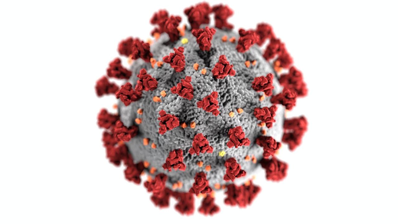 Pexels stock photo from CDC