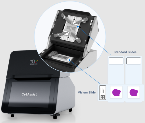 A CytAssist
