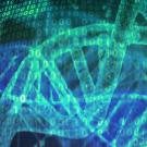 Stock image bioinformatics