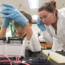 Student is being watched by mentor