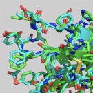 A protein structure models obtained by DeepMind’s AlphaFold program.