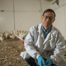 Huaijun Zhou posing with chickens