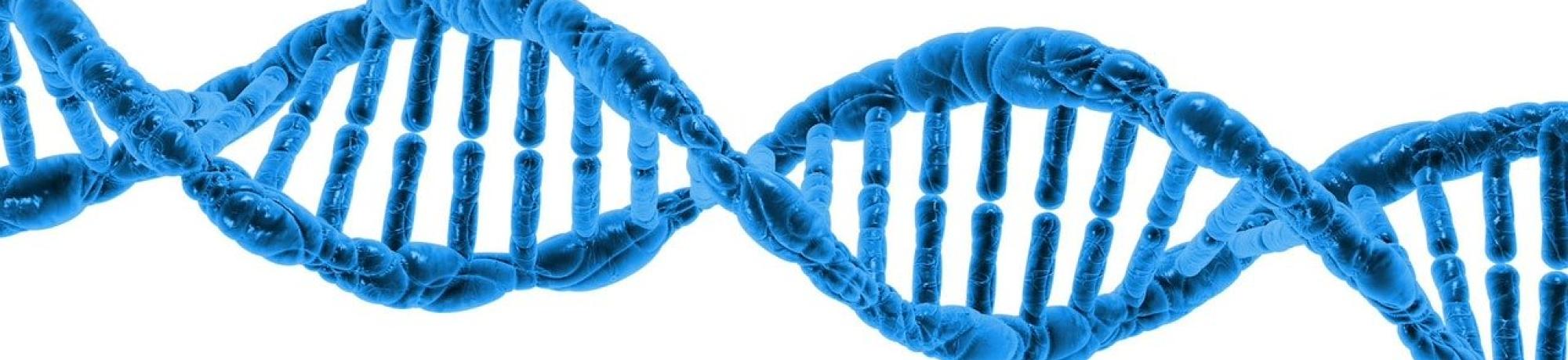DNA stock image